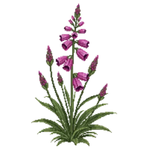 Illustration of Desert Penstemon