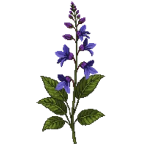 Illustration of Showy Penstemon