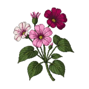 Illustration of Petunia