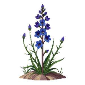 Illustration of Desert Bluebells