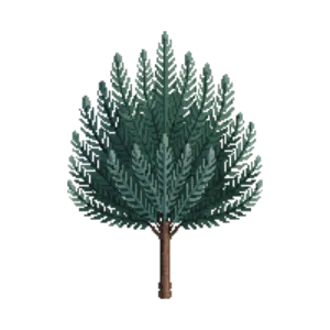 Illustration of Dwarf Blue Spruce