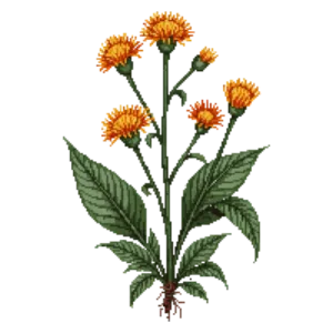 Illustration of Fox-and-cubs