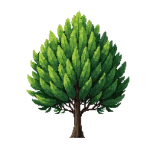 Illustration of Mugo Pine 'Mops'