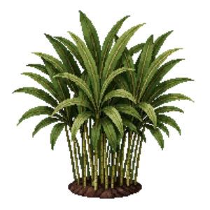 Illustration of Dwarf greenstripe bamboo