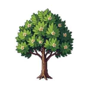Illustration of Yew Pine