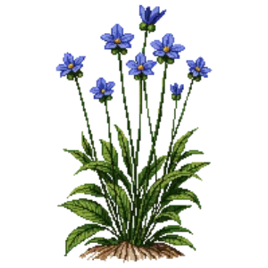 Illustration of Jacob's Ladder