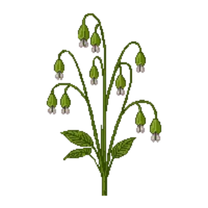 Illustration of Solomon's Seal
