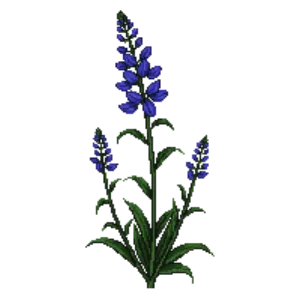 Illustration of Pickerelweed