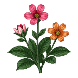 Illustration of Moss Rose