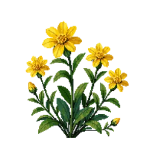 Illustration of Shrubby Cinquefoil 'Goldfinger'