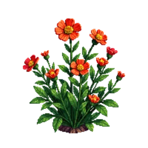 Illustration of Shrubby cinquefoil 'Red Ace'