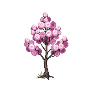 Illustration of Cherry 'Amanogawa'
