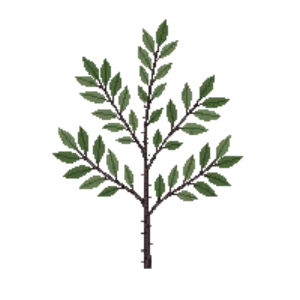 Illustration of Blackthorn
