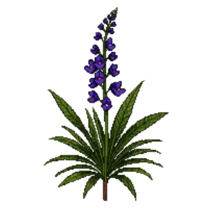 Illustration of Lungwort 'Diana Clare'