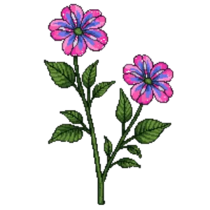 Illustration of Lungwort 'Raspberry Splash'