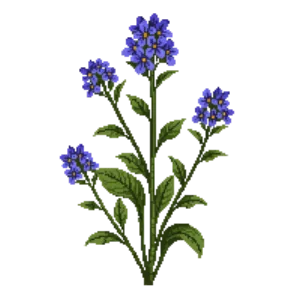 Illustration of Lungwort 'Trevi Fountain'