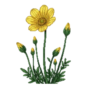 Illustration of Meadow buttercup
