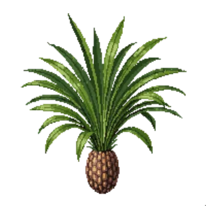 Illustration of Needle Palm