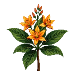 Illustration of Florida Flame Azalea