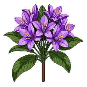 Illustration of Rhododendron 'PJM'