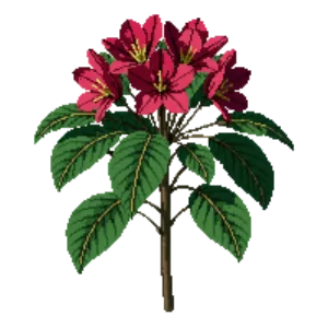 Illustration of Azalea 'Stewartstonian'