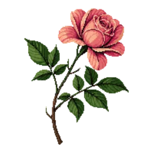 Illustration of Rambling rose 'Albertine'