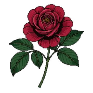 Illustration of Rose 'Munstead Wood'