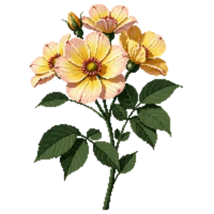 Illustration of Rose 'Oso Easy Italian Ice'