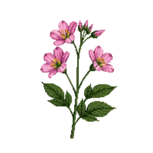 Illustration of Virginia Rose