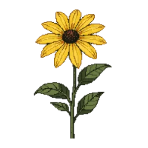 Illustration of Black-Eyed Susan