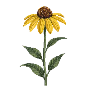 Illustration of Giant Coneflower