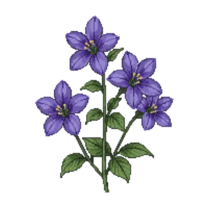 Illustration of Carolina Wild Petunia