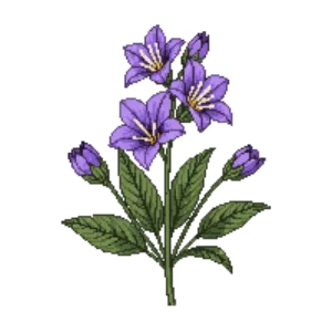 Illustration of Wild Petunia