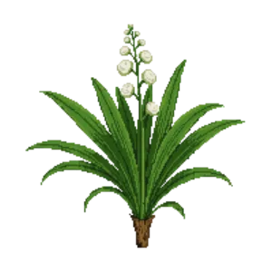 Illustration of Dwarf Palmetto