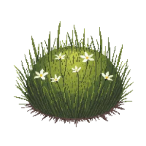 Illustration of Irish Moss