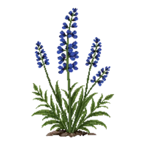 Illustration of Blue Sage