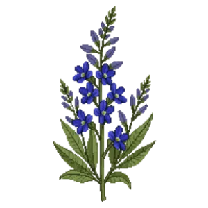 Illustration of Bee's Bliss Sage