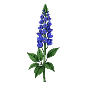 Illustration of Germander Sage