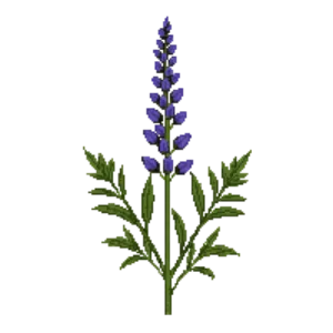Illustration of Mojave Sage