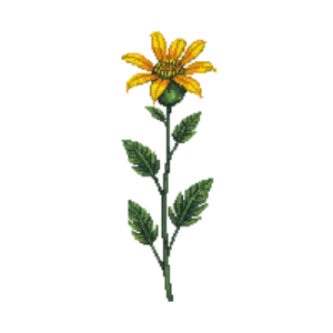 Illustration of Creeping Zinnia