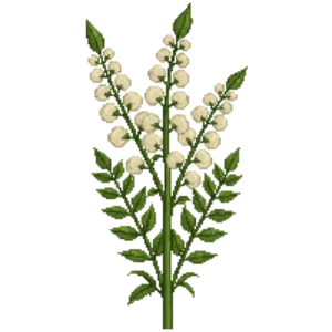 Illustration of Lizard's Tail
