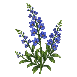 Illustration of Fan Flower