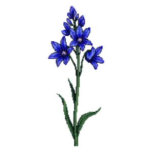 Illustration of Siberian Squill