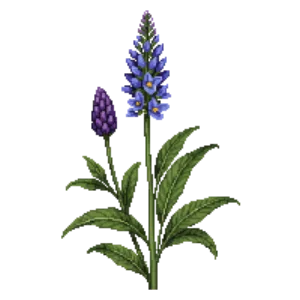 Illustration of Helmet Skullcap
