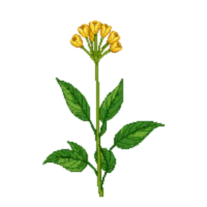 Illustration of Cup Plant