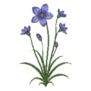 Illustration of Western Blue-eyed Grass