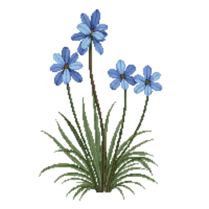 Illustration of Prairie Blue-eyed Grass