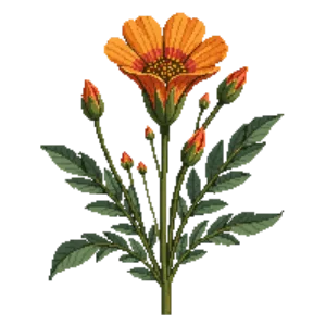 Illustration of Desert Globemallow