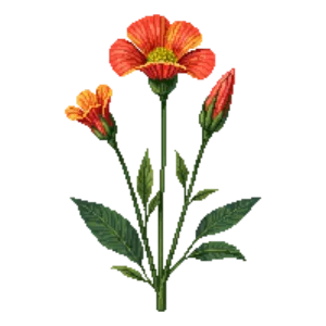 Illustration of Scarlet Globemallow