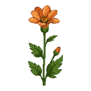Illustration of Munro's Globemallow